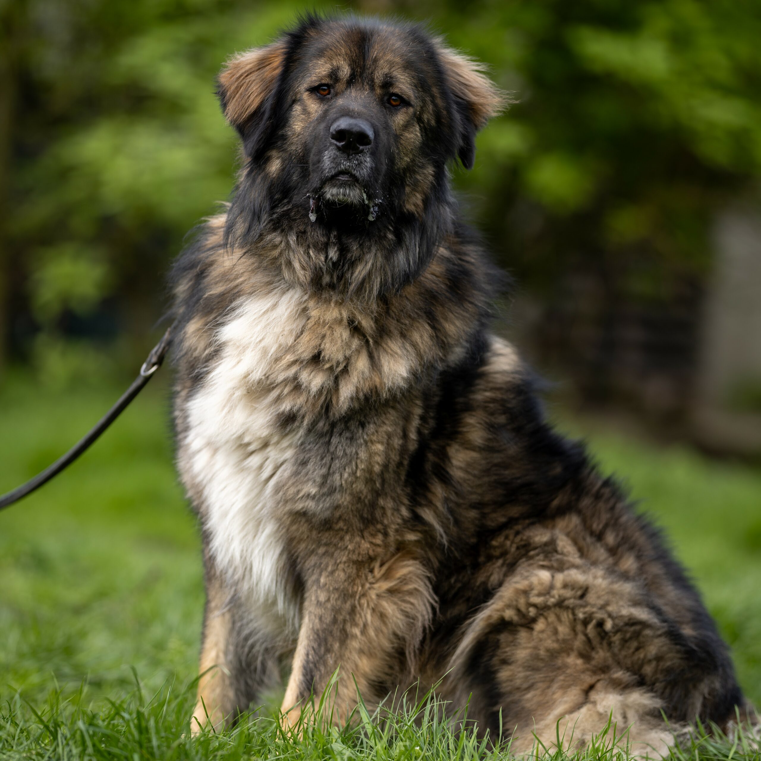 Boris-3-scaled-1.jpg