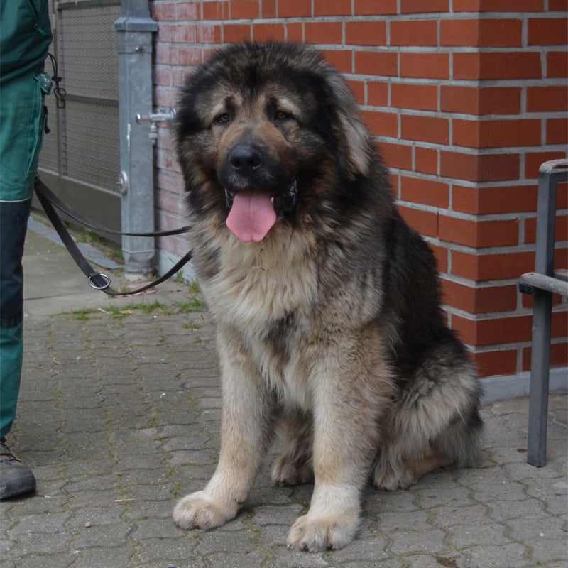mischka1-profilbild-20230517.jpg
