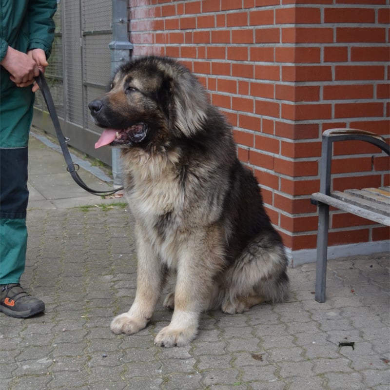 mischka2-profilbild-20230517.jpg