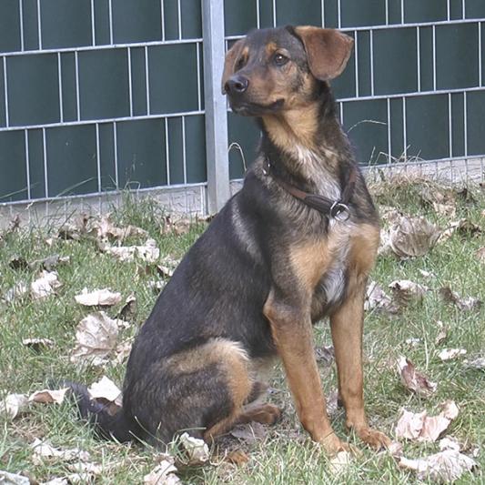 tobi1-profilbild-20180820.jpg