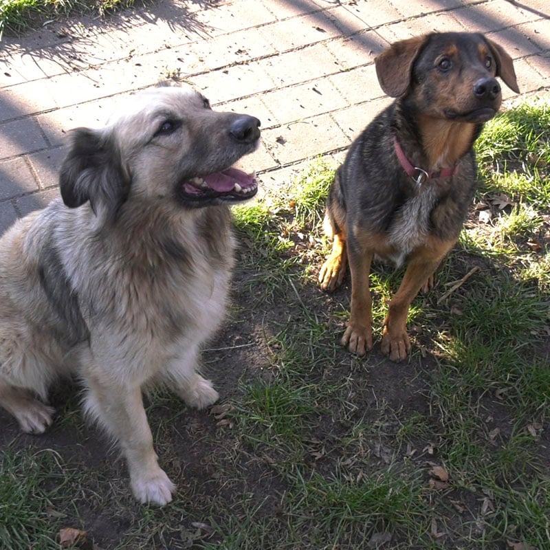 tobi1-profilbild-20200123.jpg