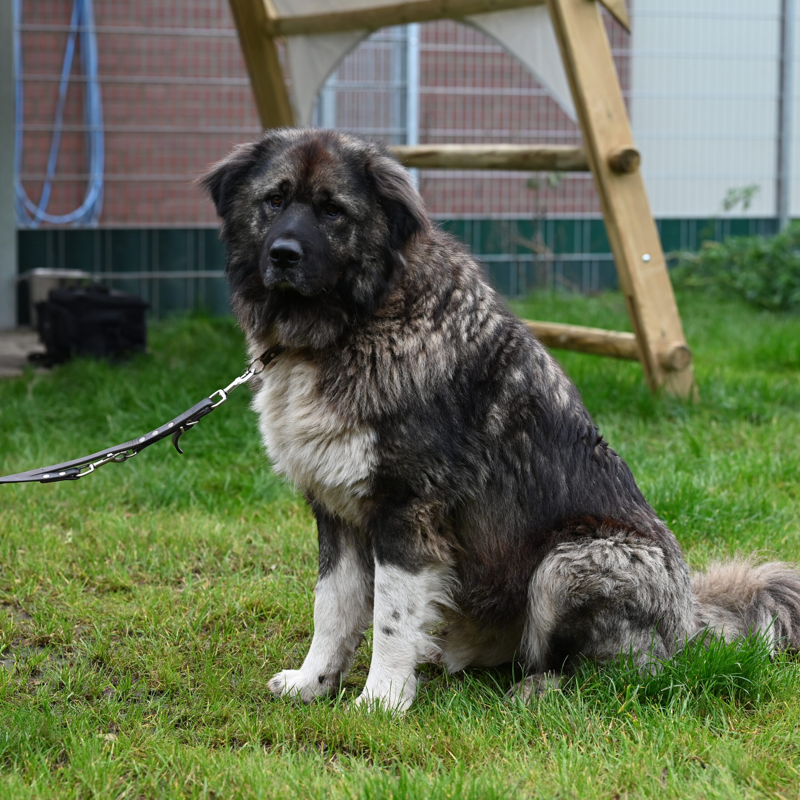 Jochen-1-scaled-1.jpg
