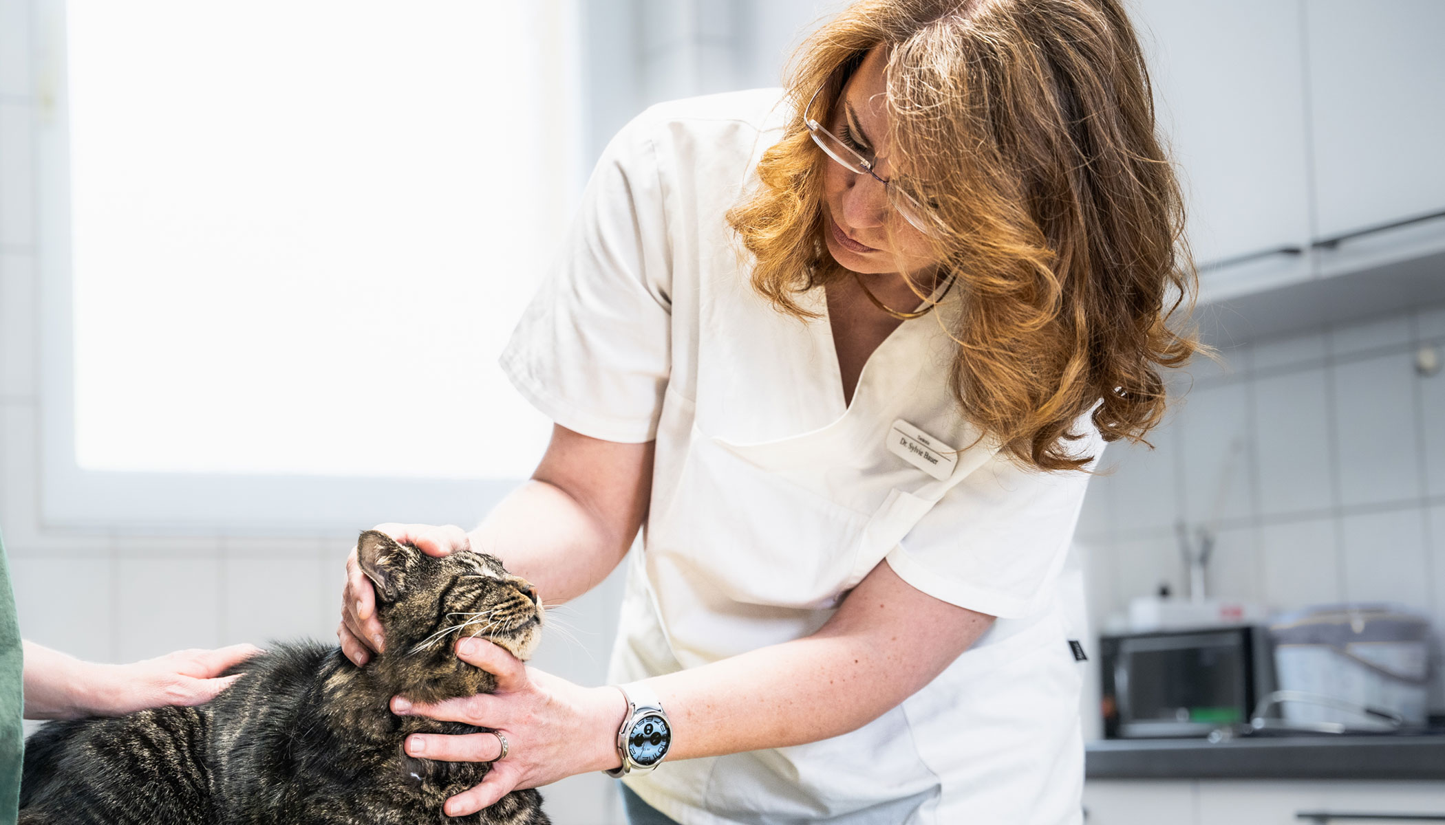 Ratgeber rund um Ihre tierischen Lieblinge