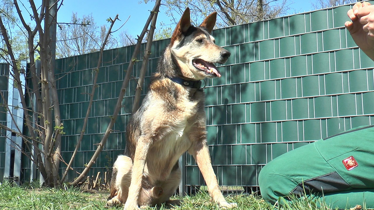 Gunnar | Tier des Monats Mai 2019