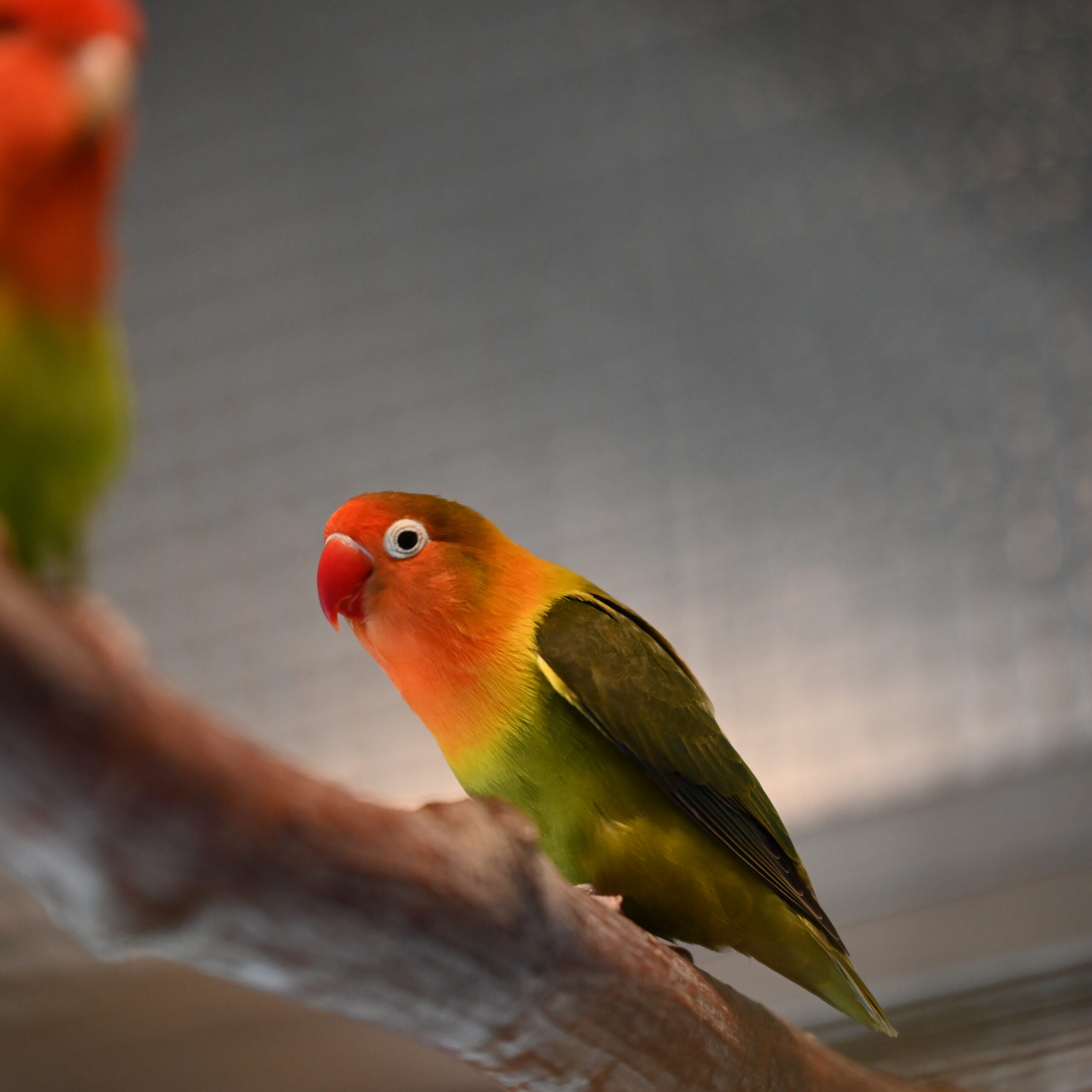 DSC_1742-scaled-1.jpg