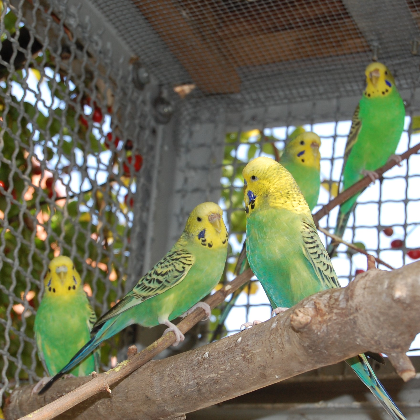 DSC_7763.jpg