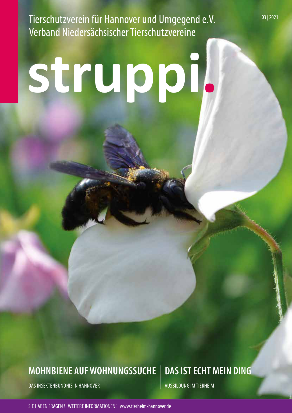 Struppi-Ausgabe_03_2021-4535