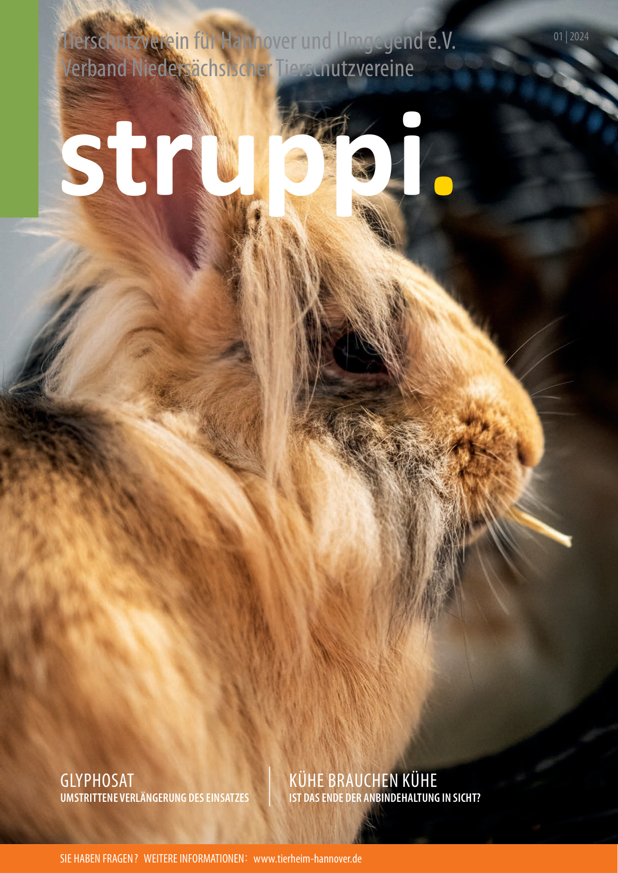 Struppi_1_2024-4545