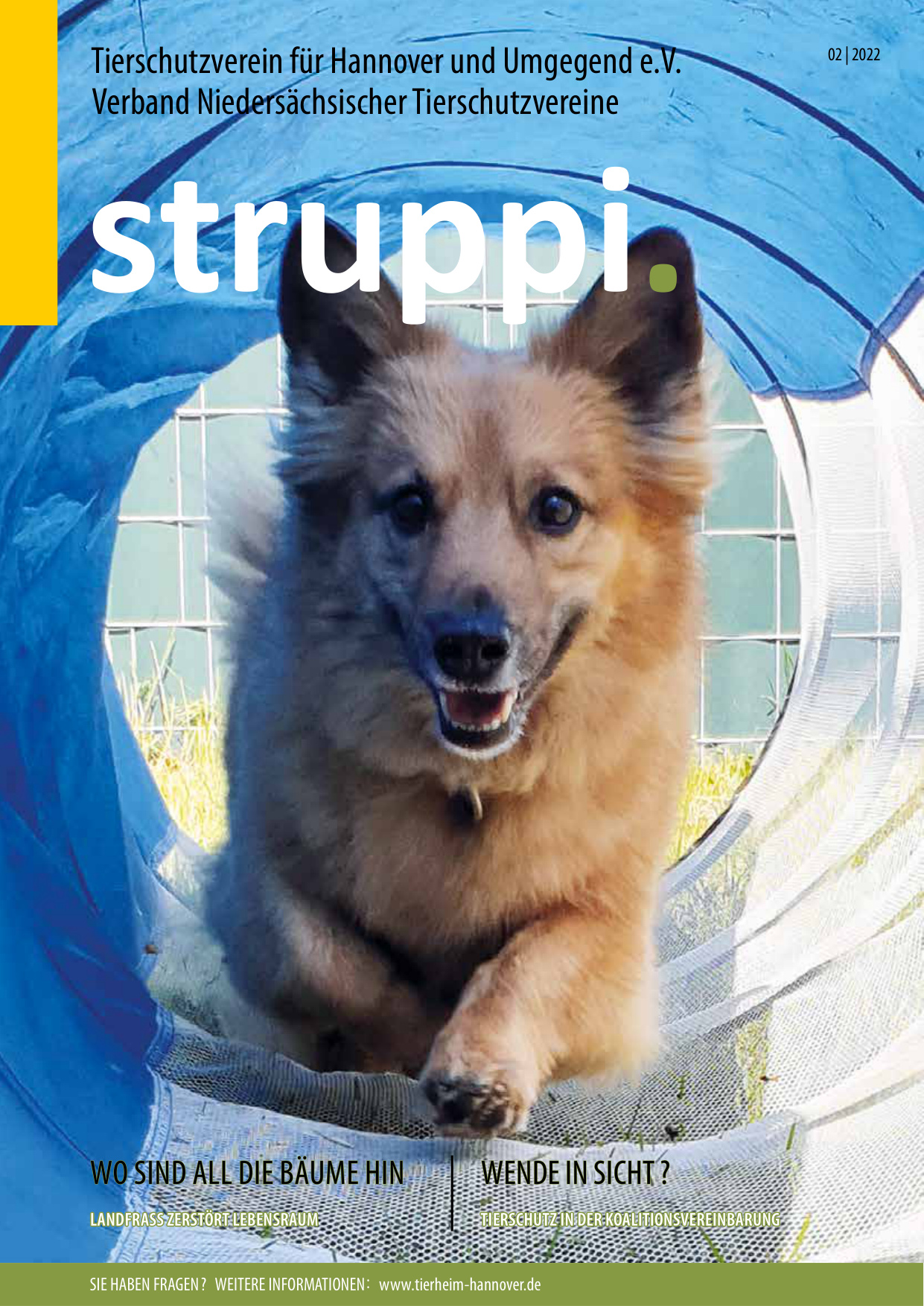 Struppi_2_2022-4538