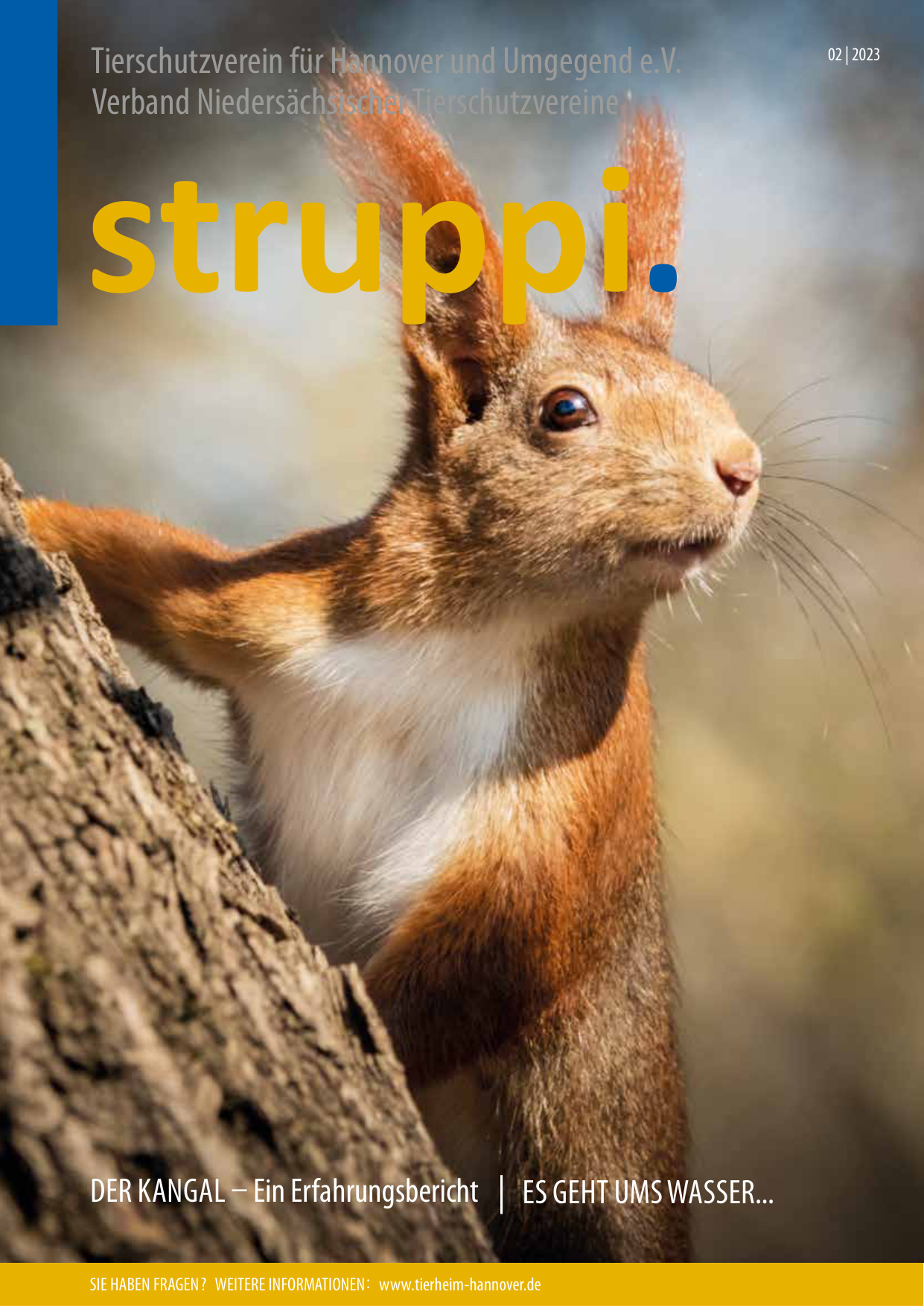 Struppi_2_2023-4542