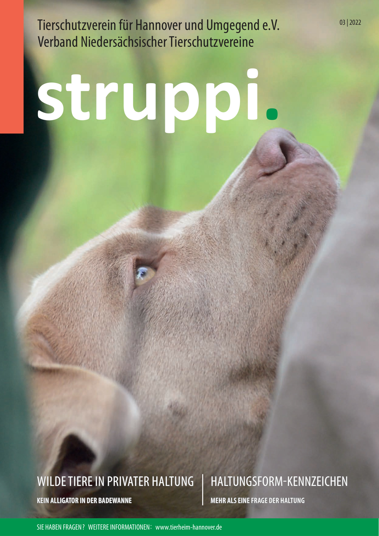 Struppi_3_2022-4539
