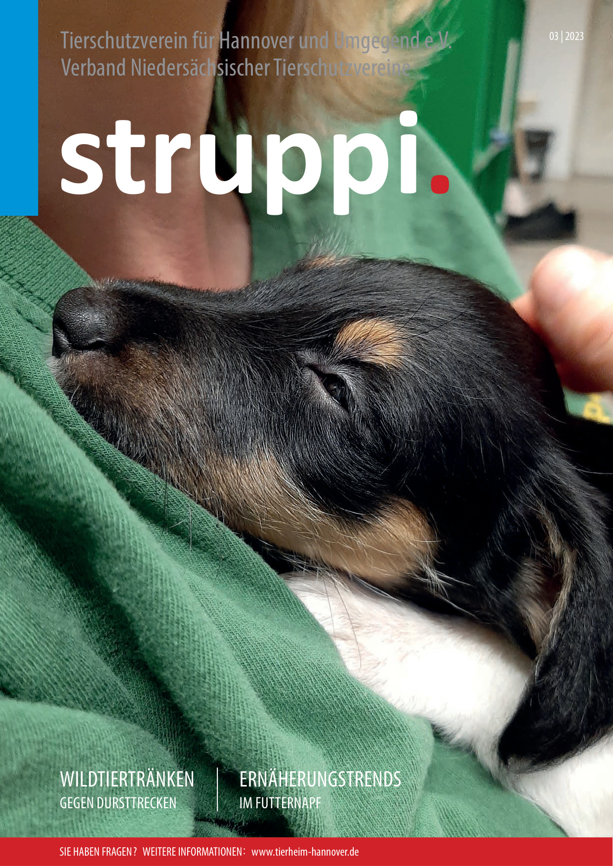 Struppi_3_2023-4543