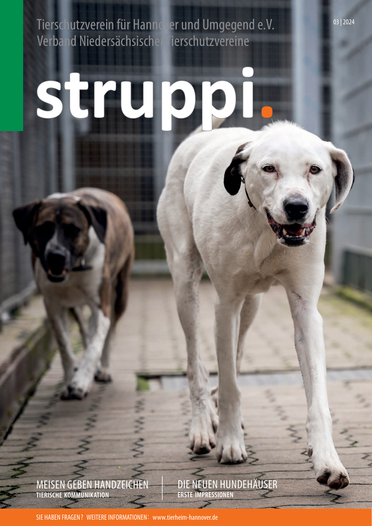 Struppi_3_2024-4547
