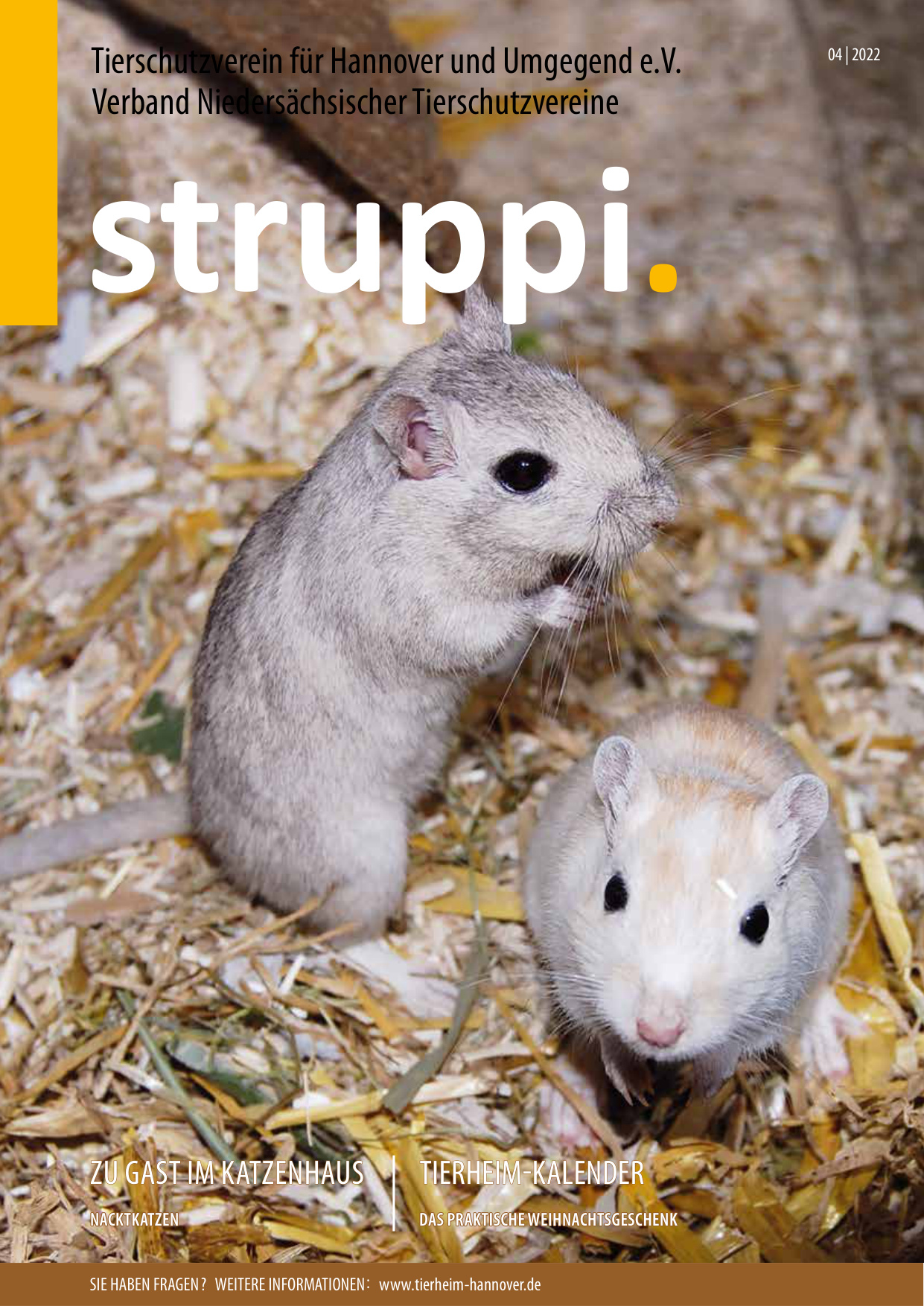 Struppi_4_2022-4540