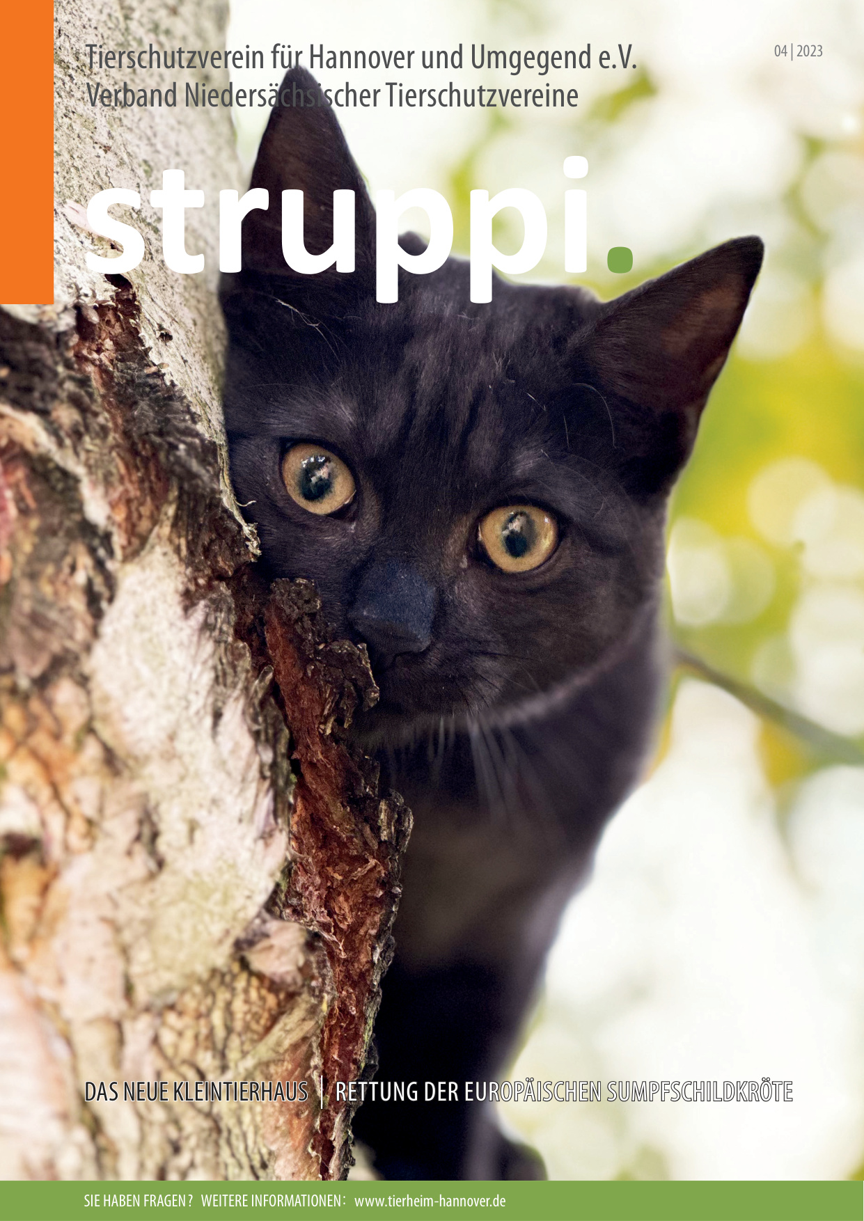 Struppi_4_2023-4544