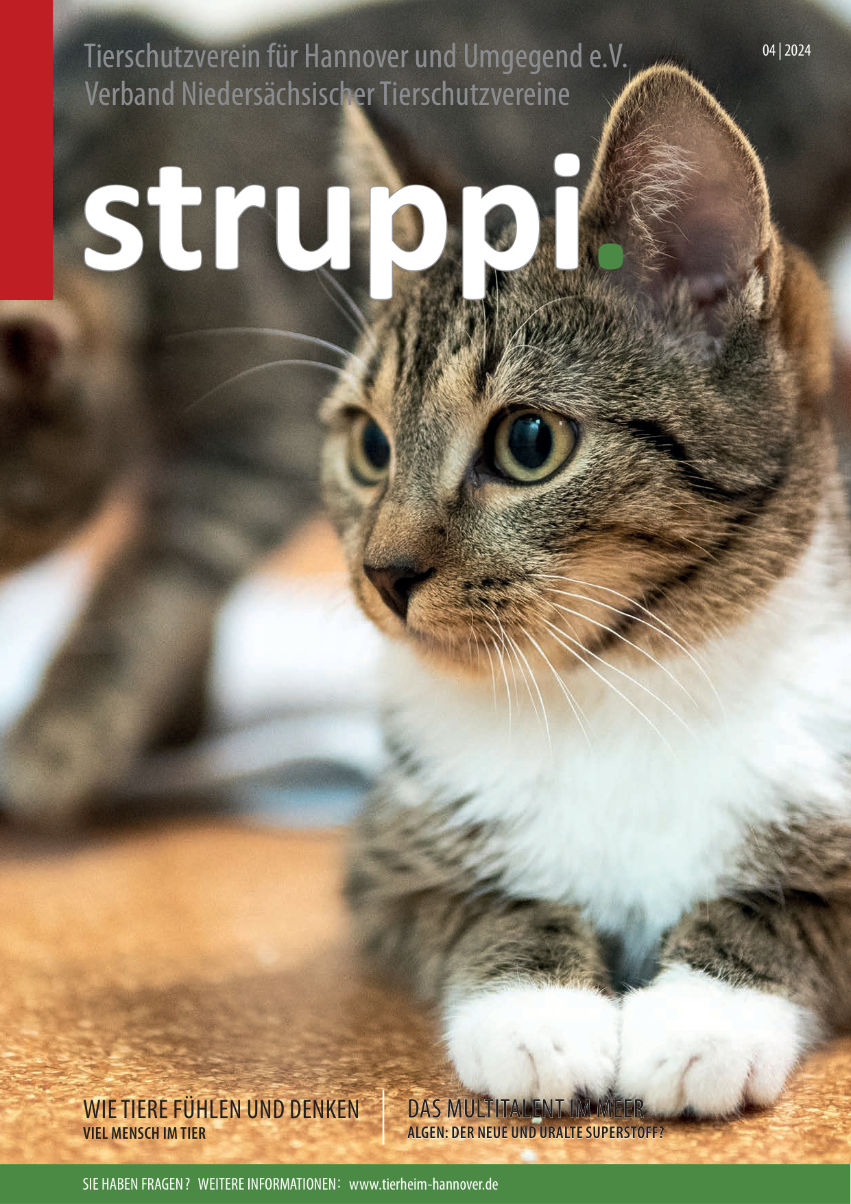 Struppi_4_2024-4548