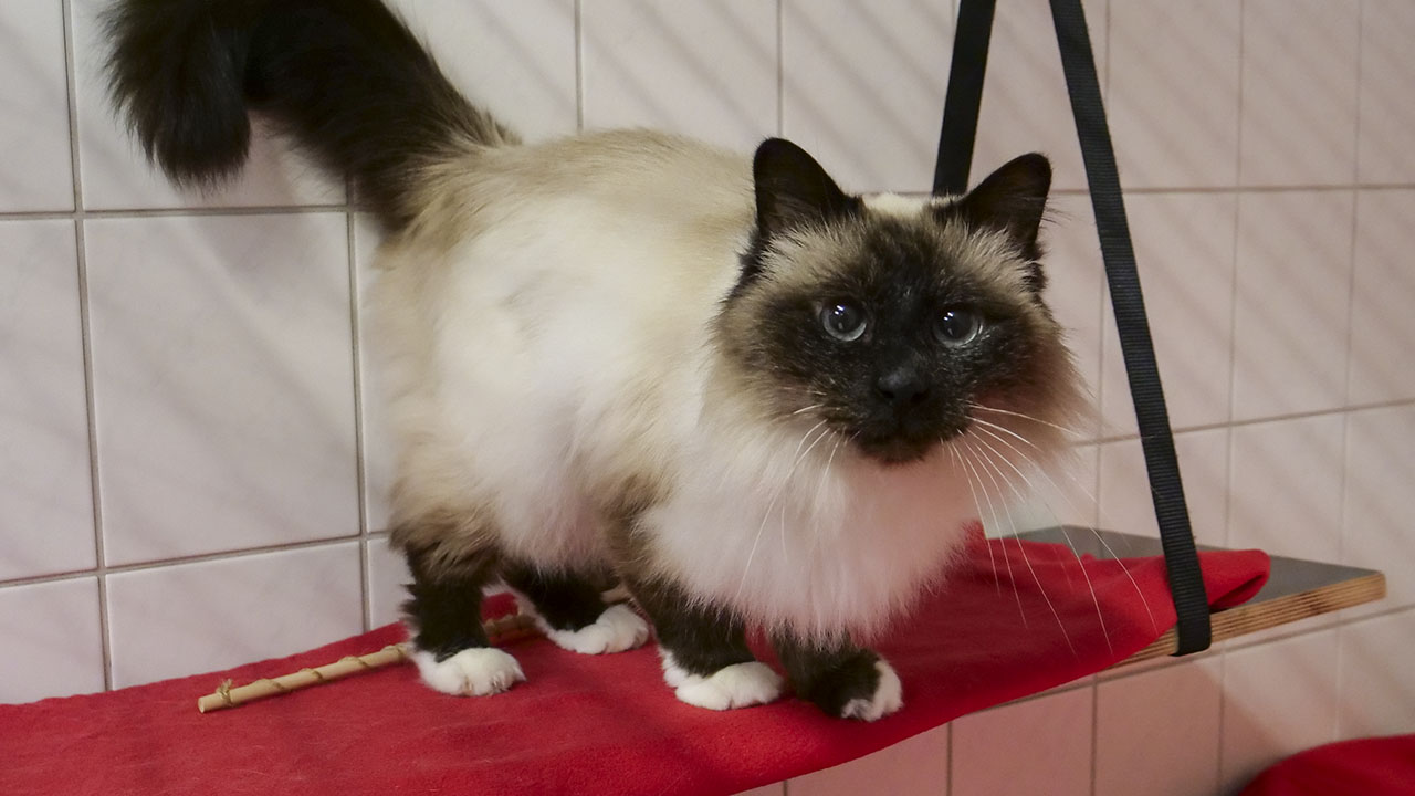 Floppy | Tier des Monats Januar 2021