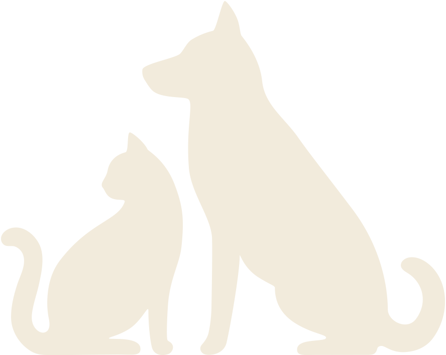 Karriere als Tierpfleger - Hund und Katze
