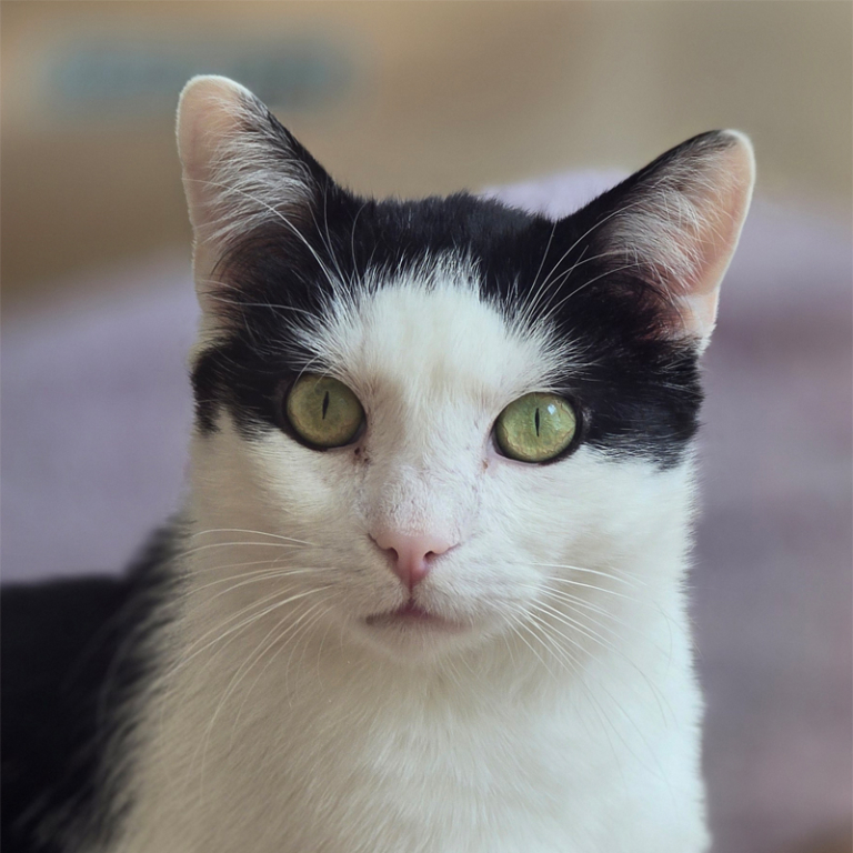 Lenny