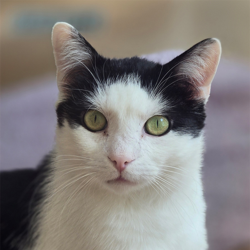 Lenny