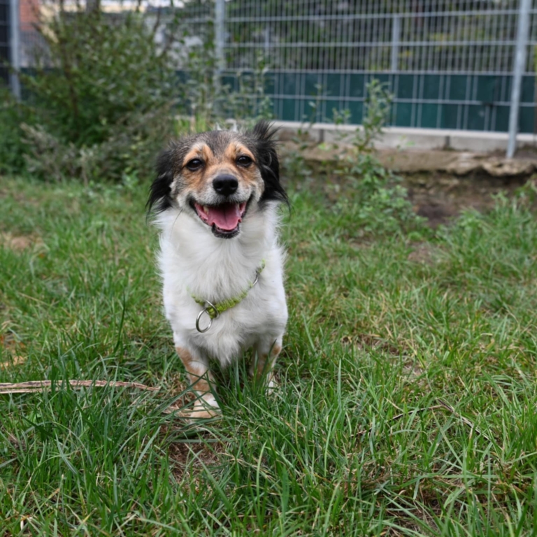 Lucy