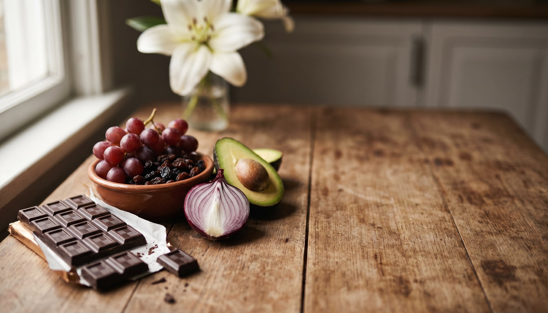 Stillleben auf Küchentisch mit Schokolade, Trauben, Rosinen, Zwiebel und Avocado – Lebensmittel, die für Haustiere giftig sind. – Giftige Lebensmittel für Haustiere
