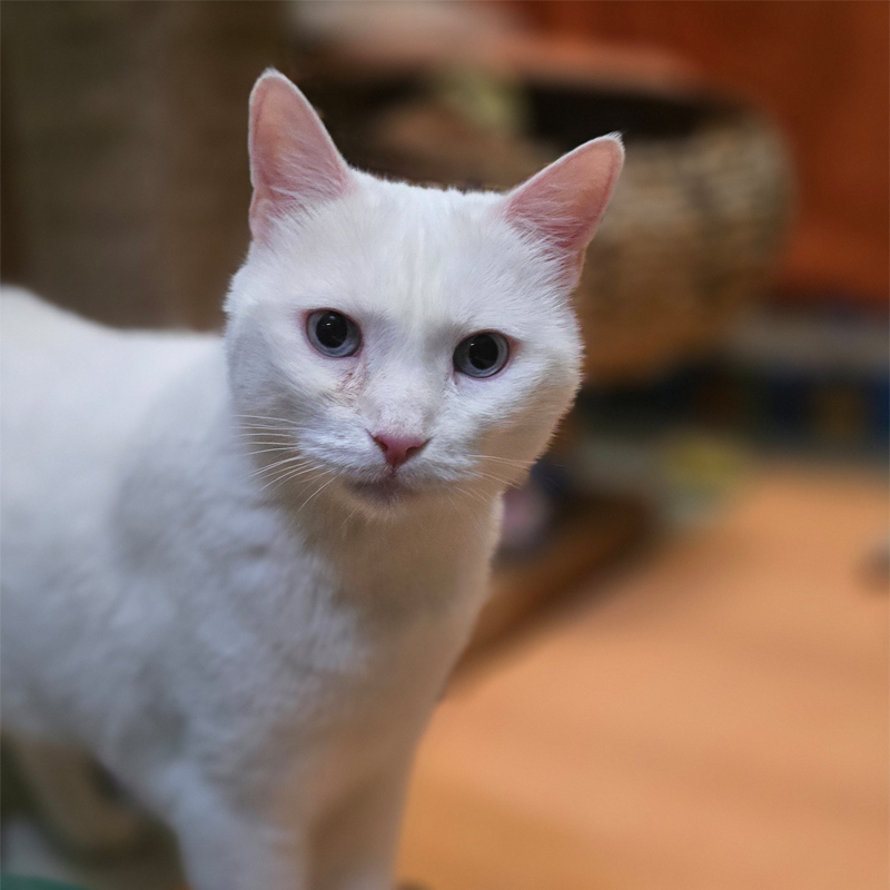 pamukina3-profilbild-20260423