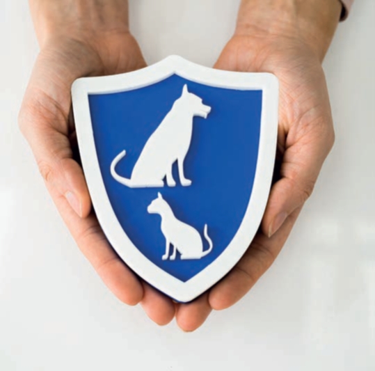 Hände halten ein Schild mit Hunde- und Katzensymbol als Sinnbild für Tierversicherung