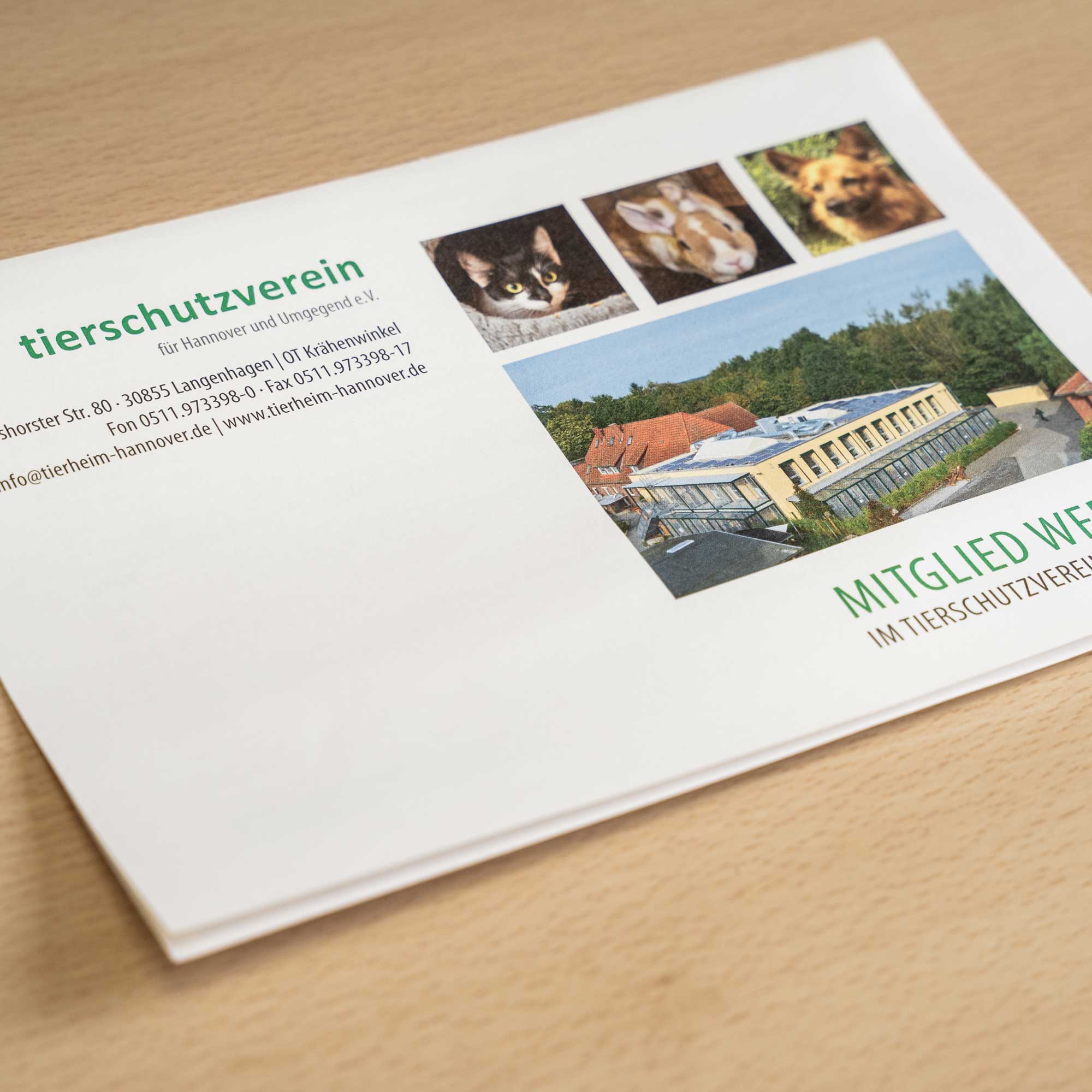 20240521_Tierheim_Hannover_087-2 Wer wir sind - Tierheim Hannover