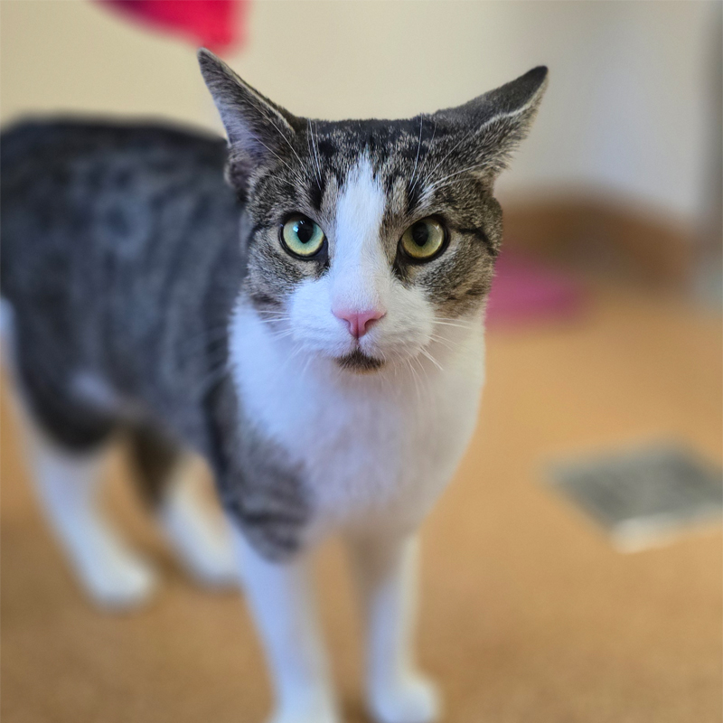 billy3-profilbild-20260517