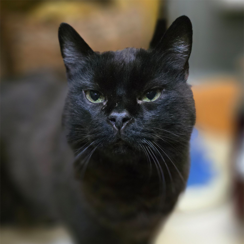 feny6-profilbild-20260512