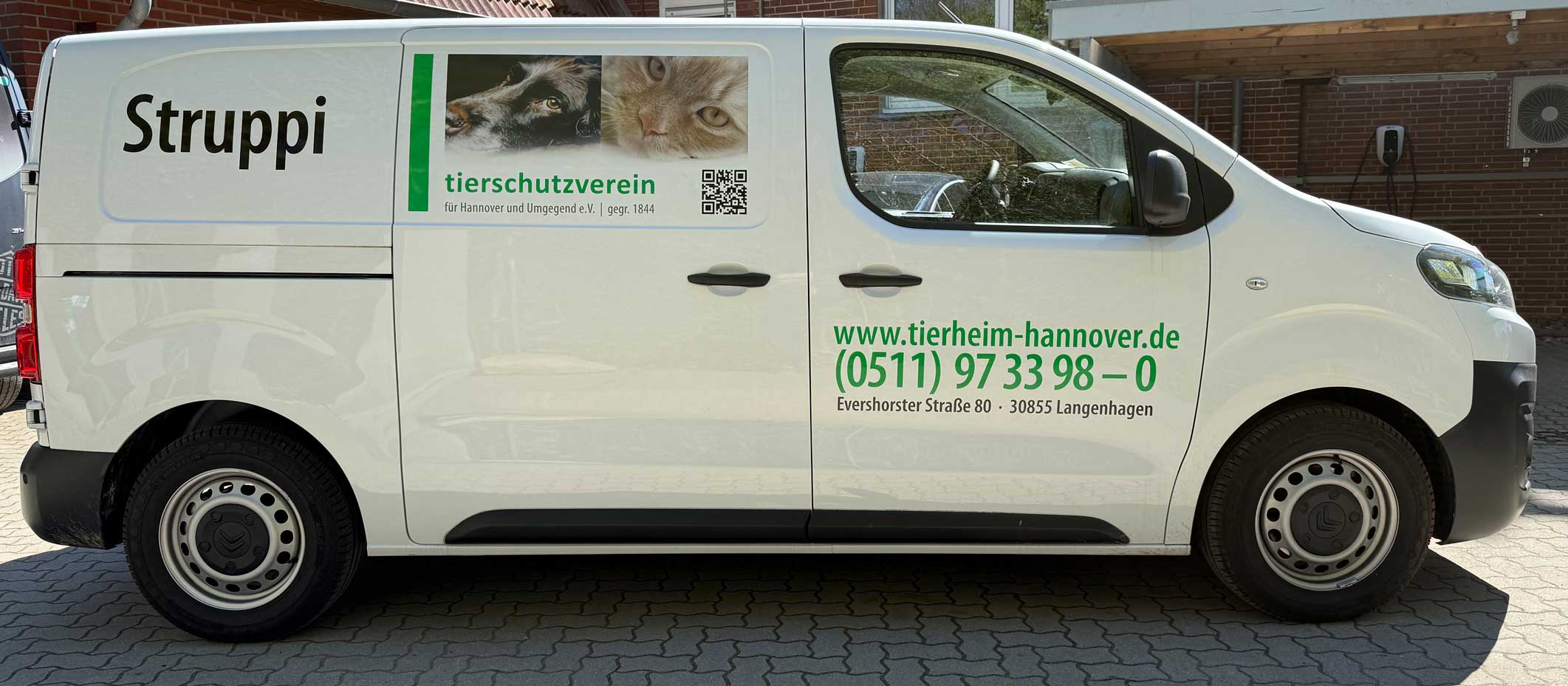 pkw-struppi-ohne Tierschutzverein - Wer wir sind