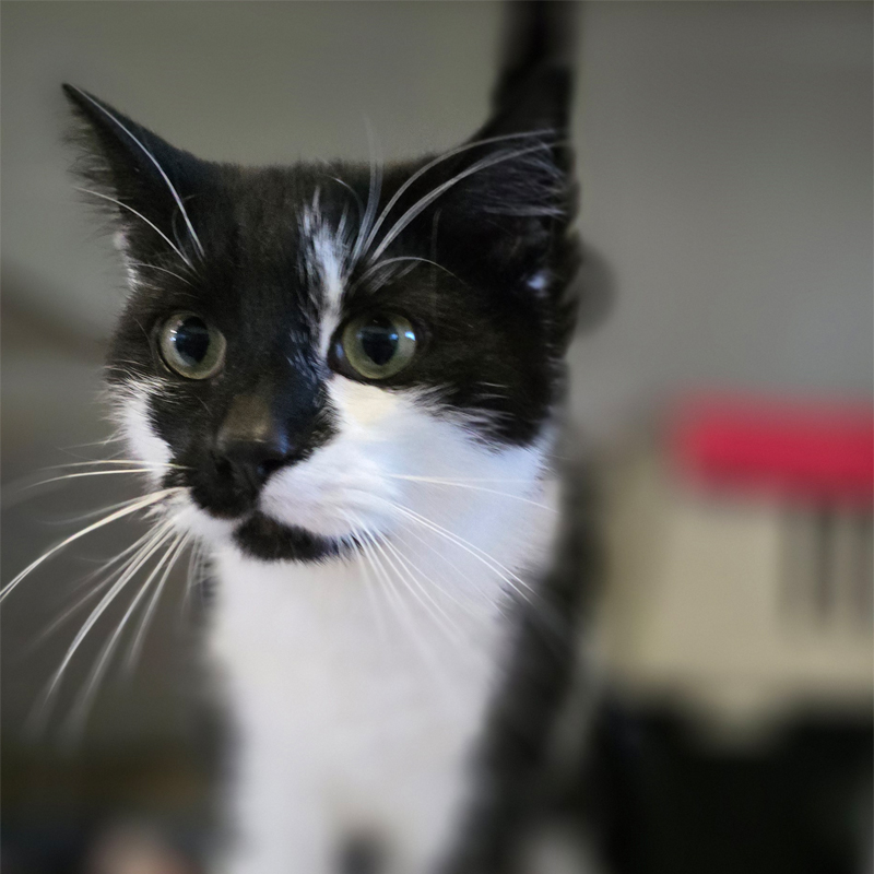 taro2-profilbild-20260427