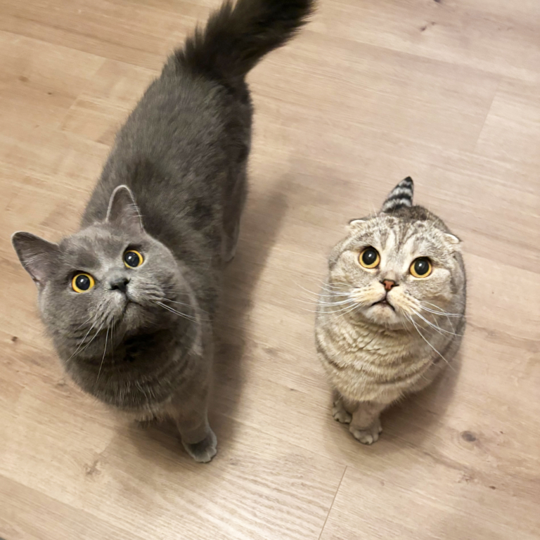 Kira und Finn Kira und Finn