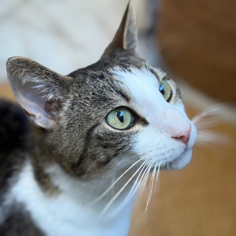 filou1-profilbild-20260527