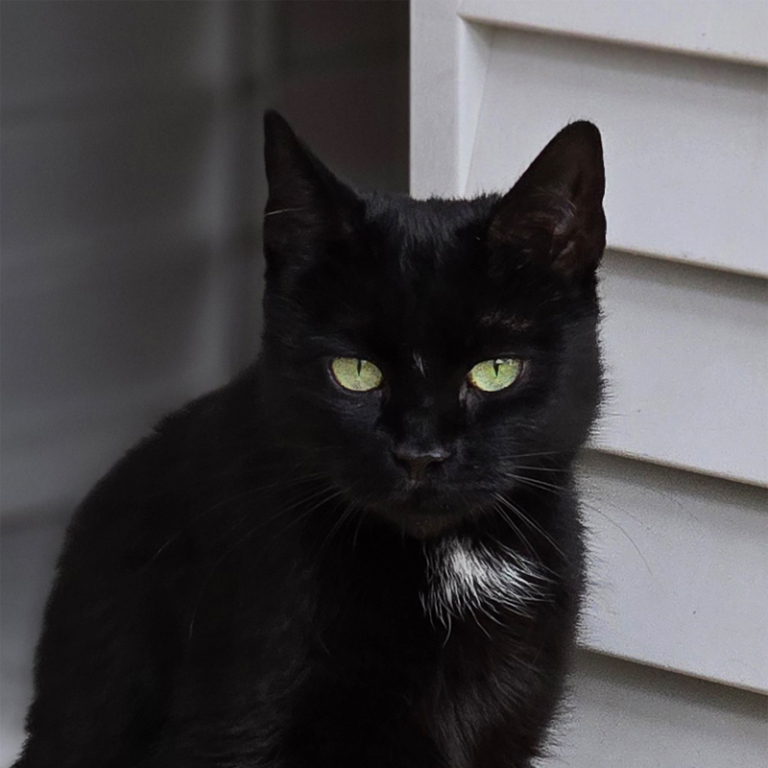 Lucy