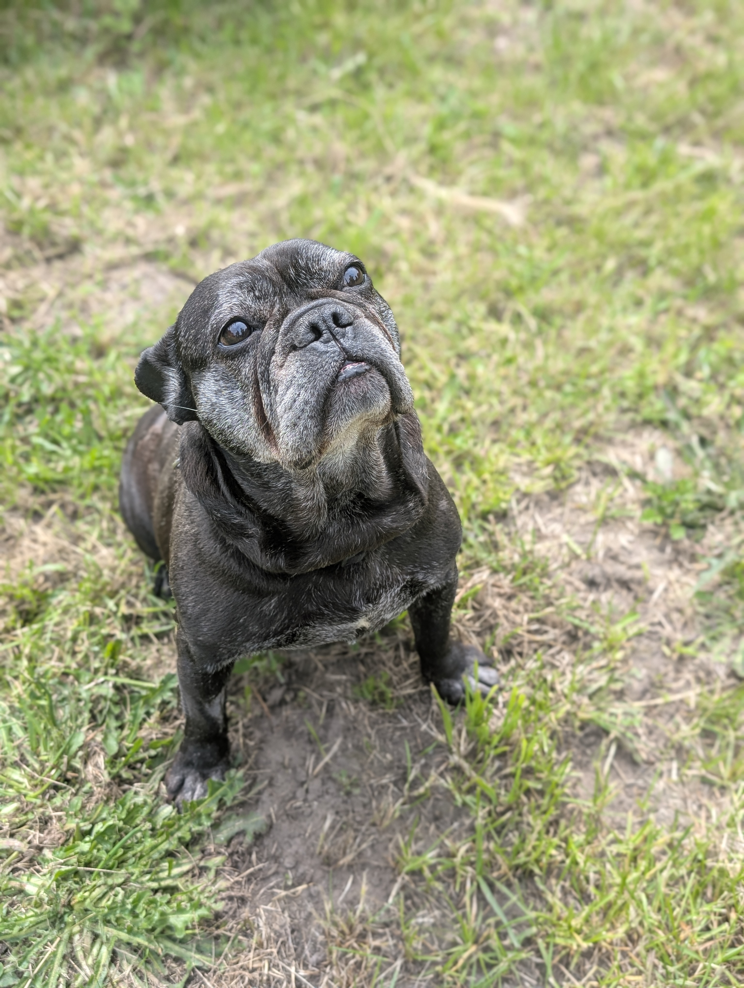 trude (1)
