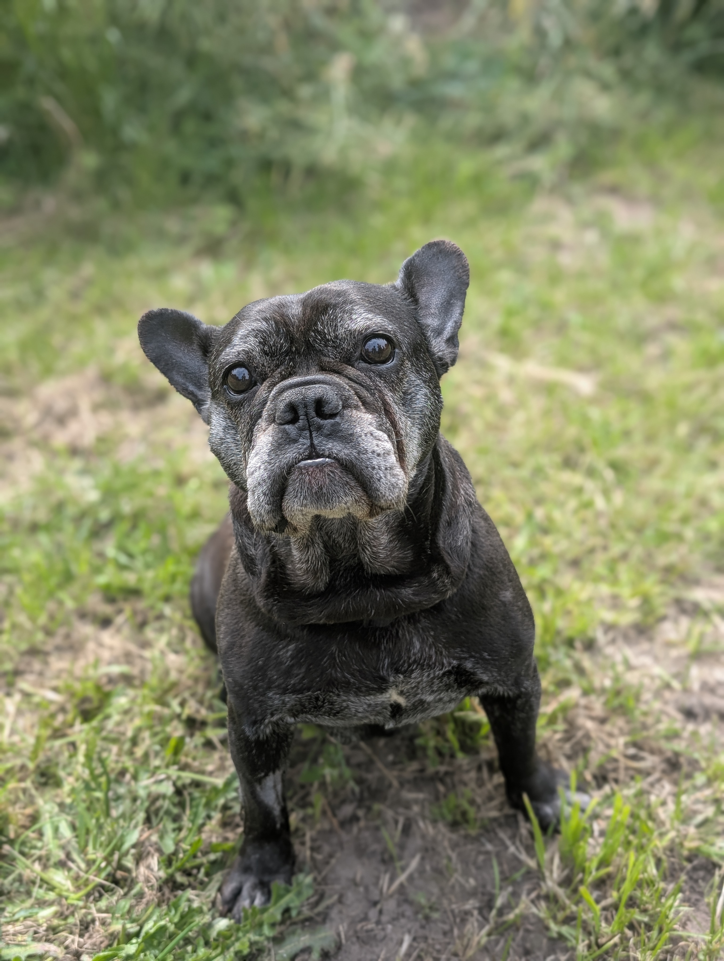 trude (2)