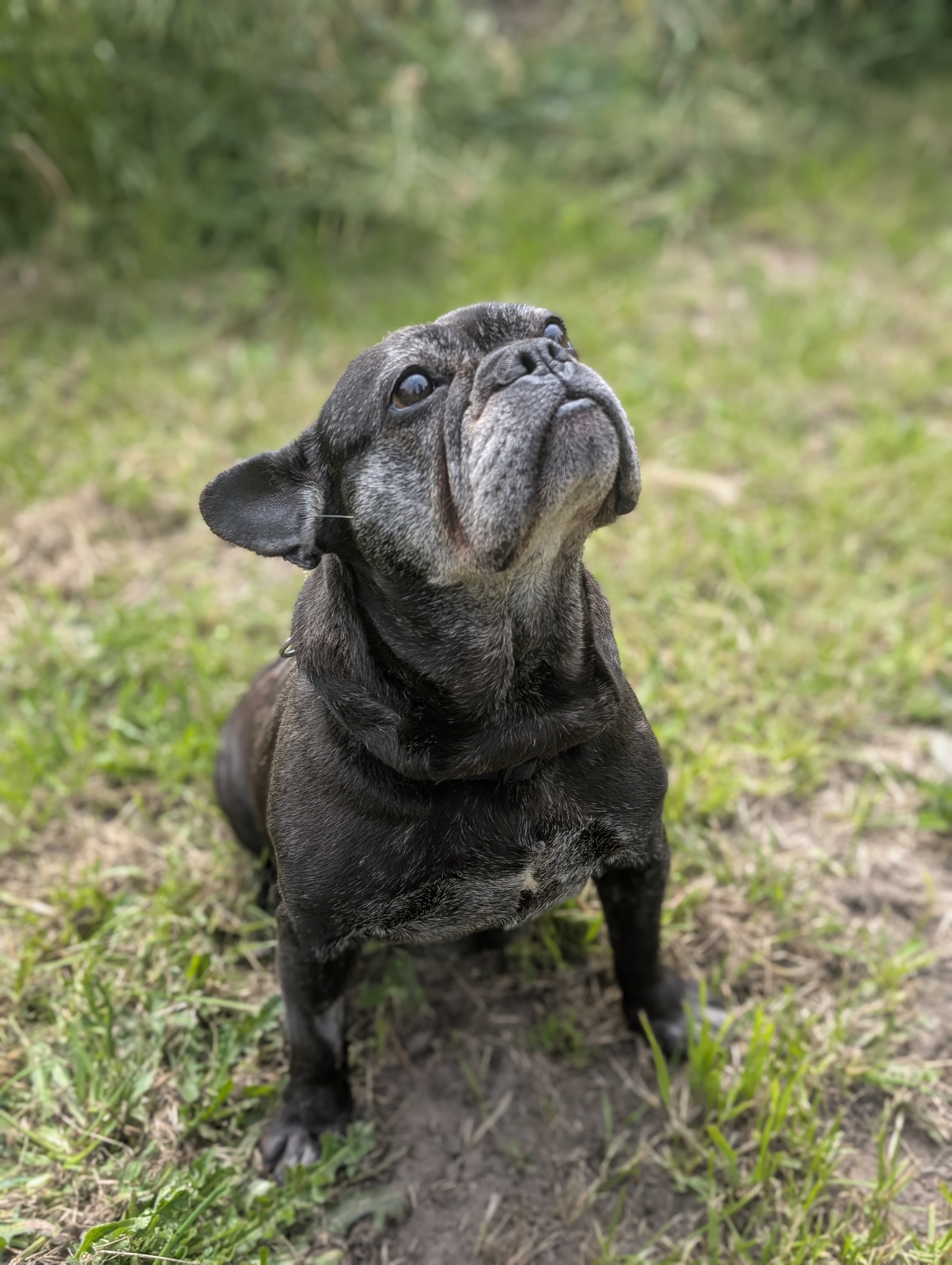 trude (3)