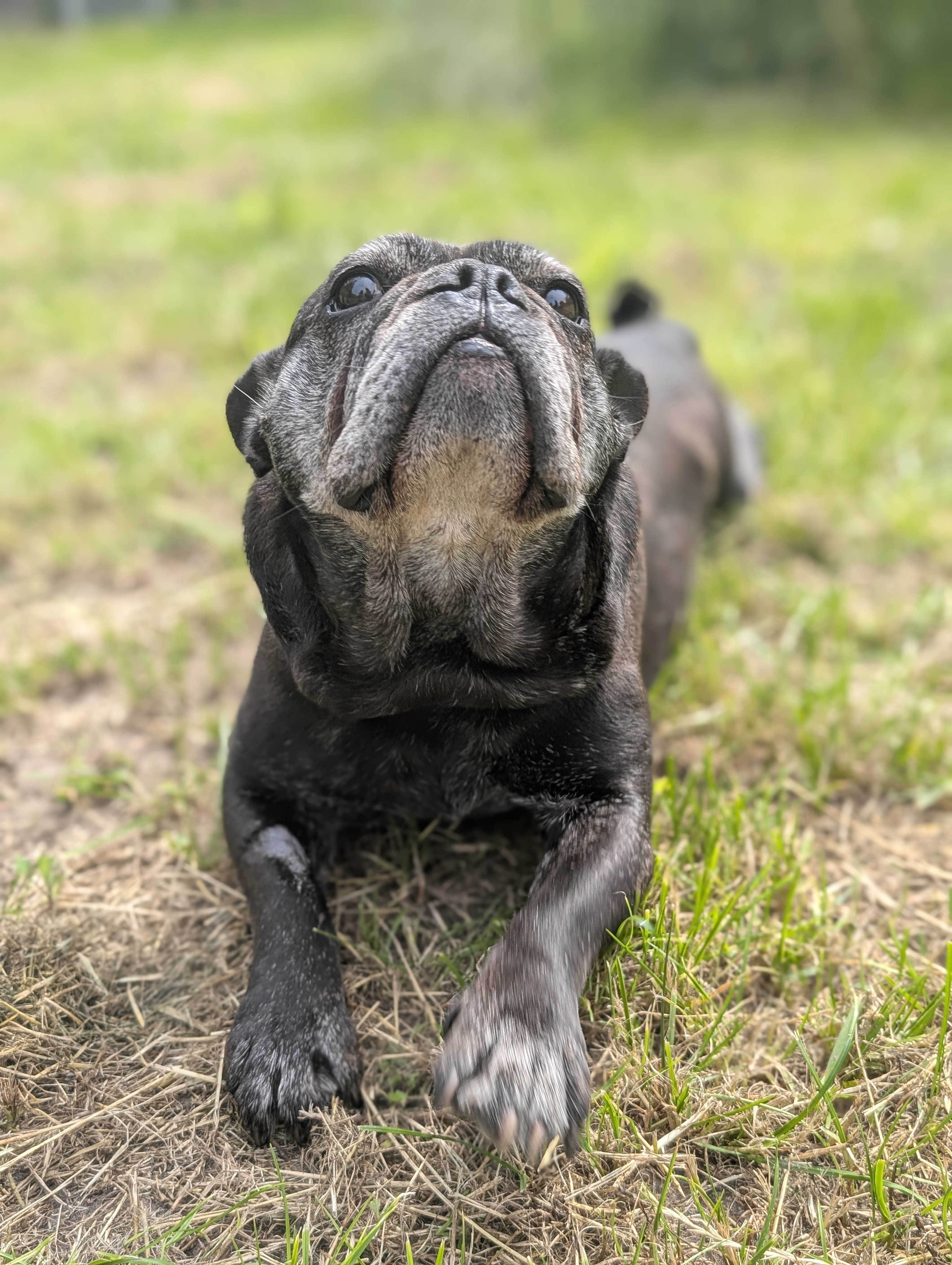 trude (5)