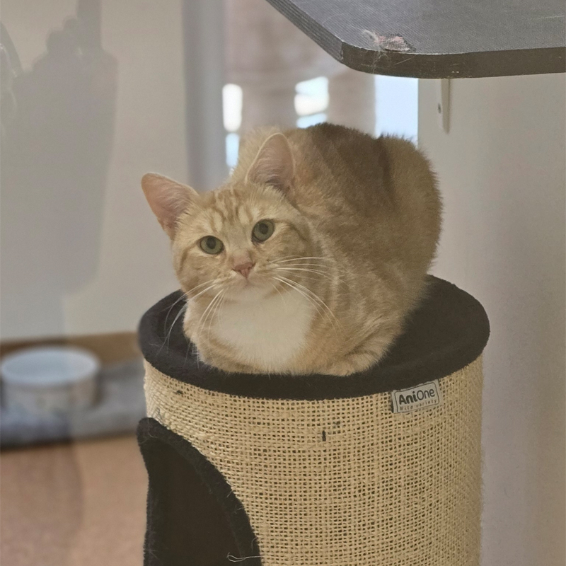 axel1-profilbild-20260705