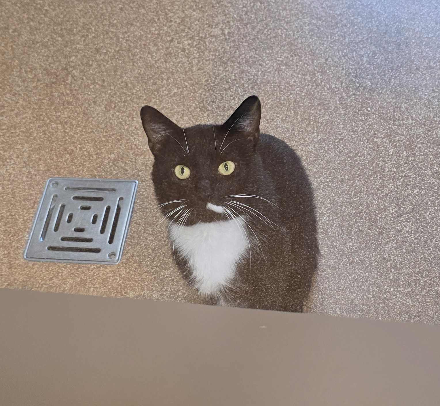 guido1-profilbild-20260827