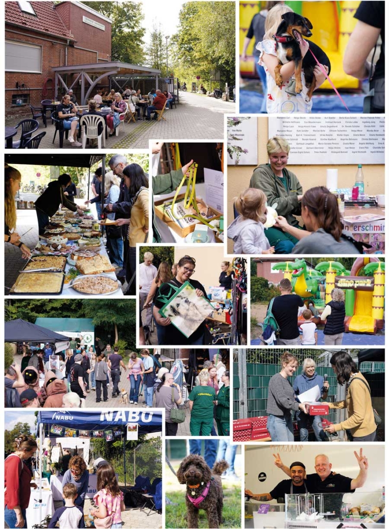 Collage mit Besucherinnen, Informationsständen und Kuchenbuffet beim Tag der offenen Tür 2026.