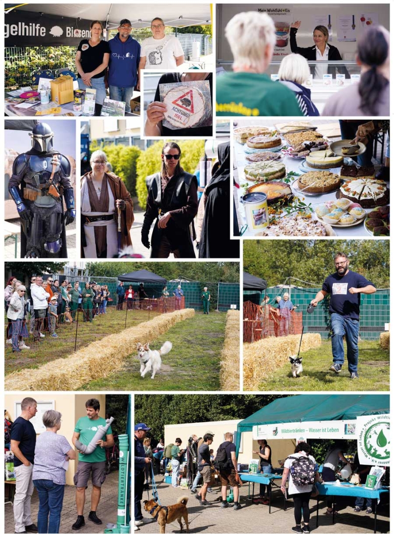 Collage mit Informationsständen, Hunderennen und Besuchenden beim Tag der offenen Tür 2026.