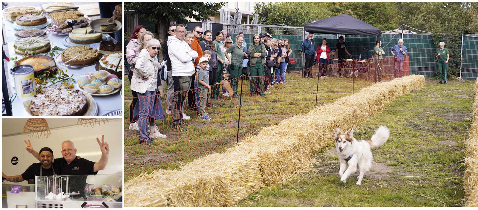 Tag der offenen Tür 2026: Besuchende und Hunderennen Besucherinnen und Besucher, Kuchenbuffet und Hunderennen beim Tag der offenen Tür 2026.