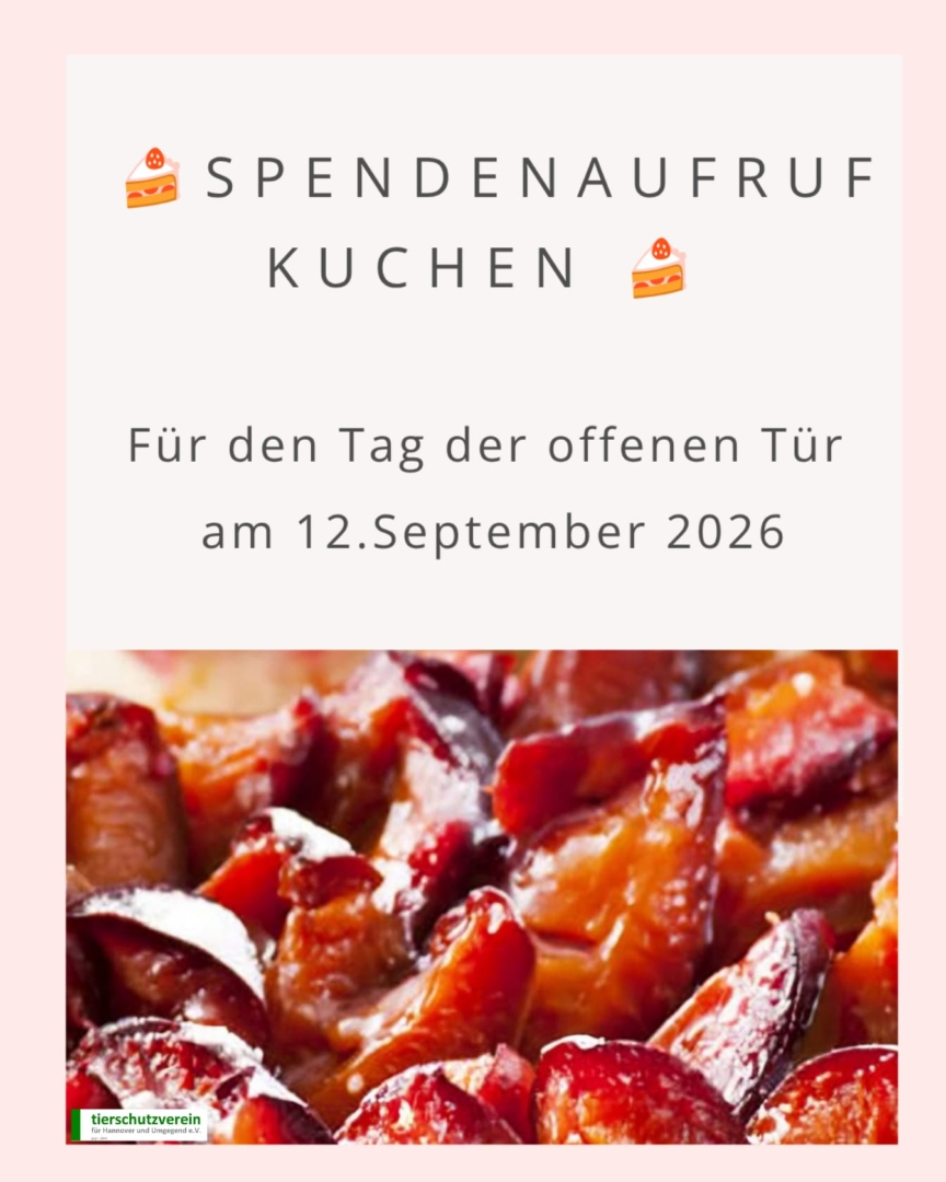 Spendenaufruf für Kuchen zum Tag der offenen Tür am 12. September 2026.