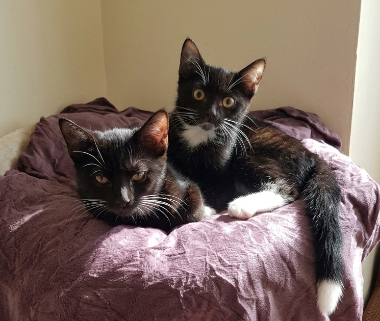 Madina und Magalia