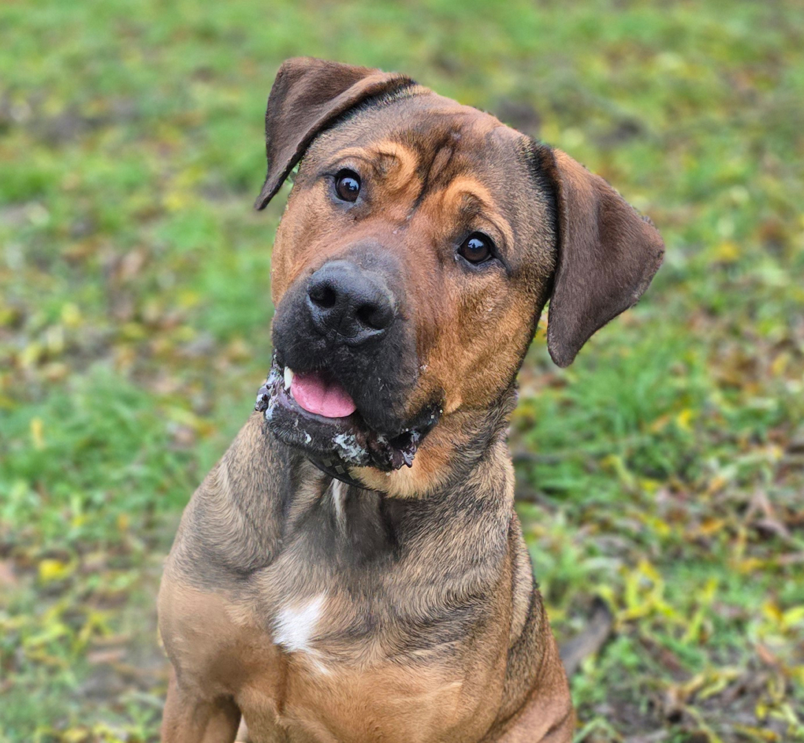 theo-titelbild-20260828