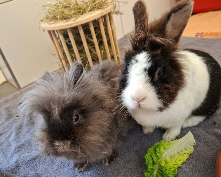Brecky + Bella