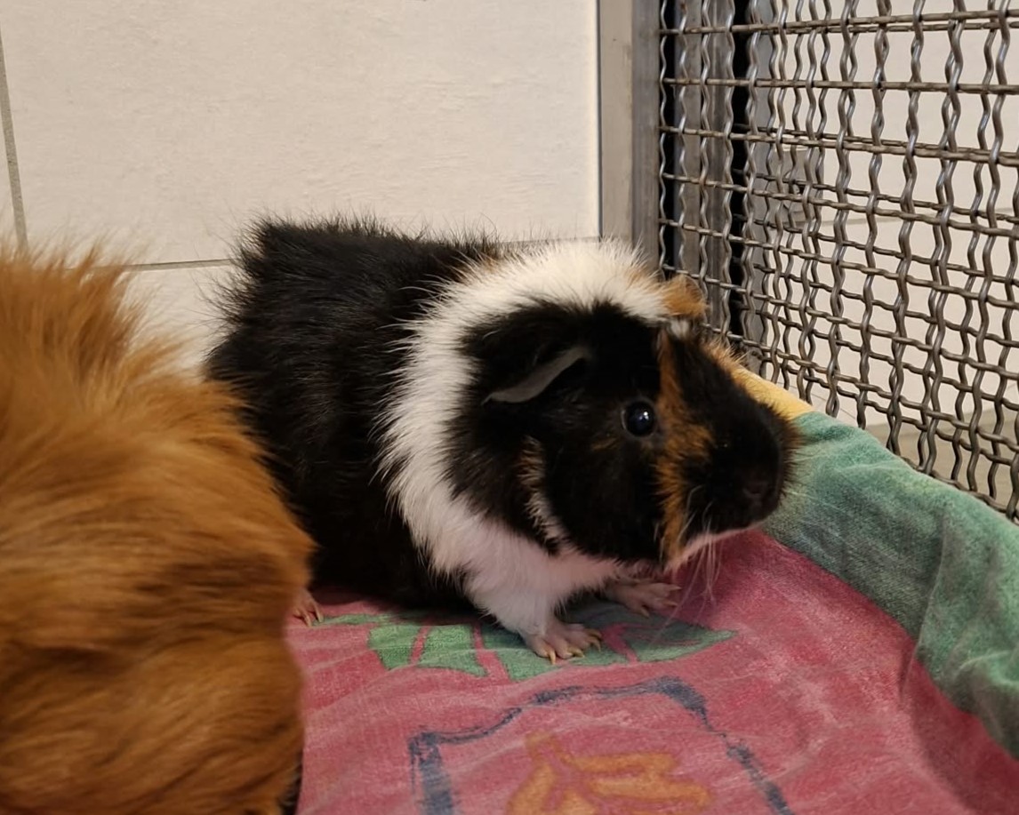 Milo + Yuna (1)